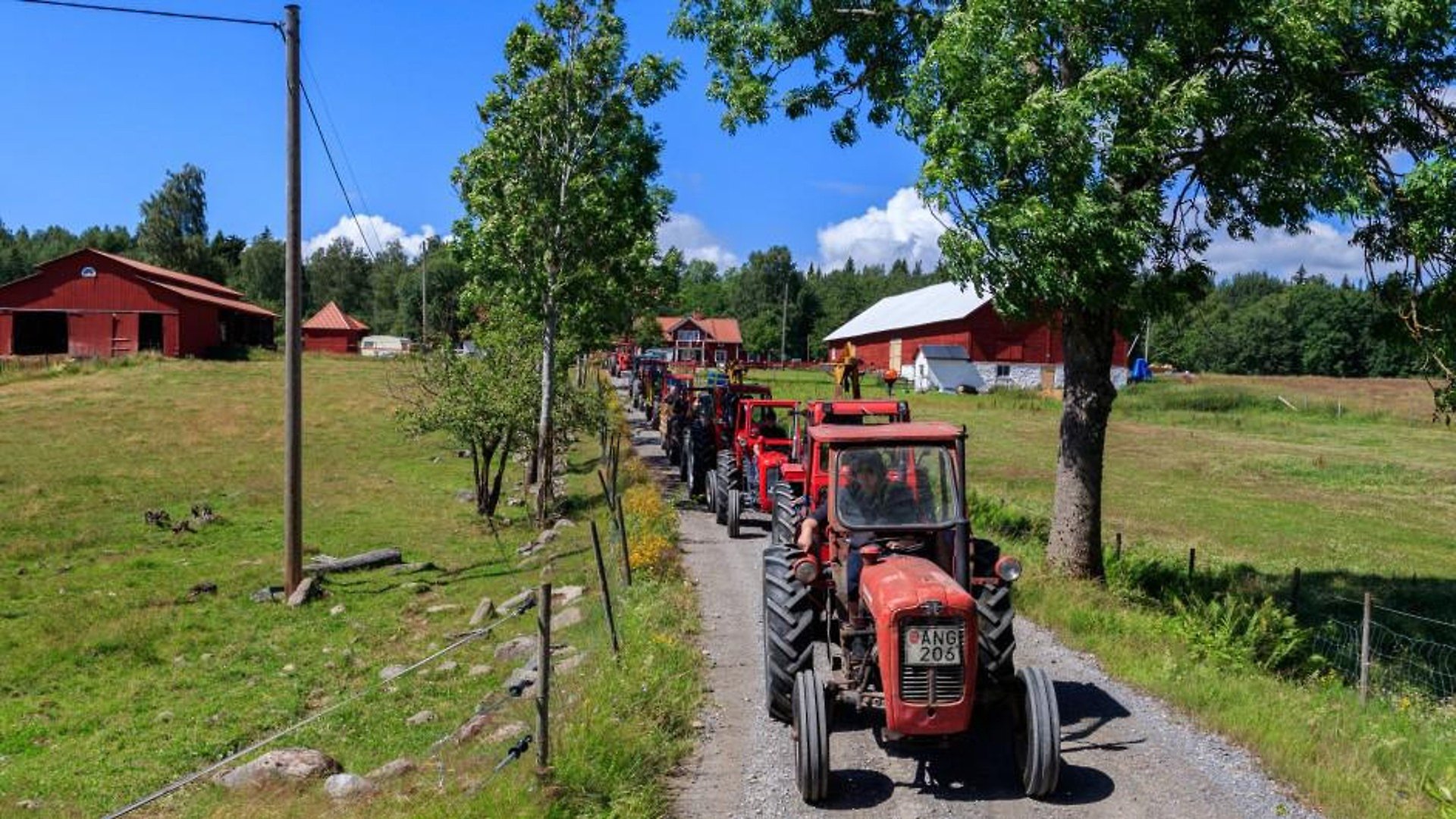 Flertalet traktorer åker på en grusväg iväg från en bondgård.