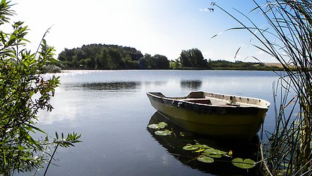 Roddbåt som ligger i kanten av en sjö. Vass ramar in bilden och i bakgrunden ser man sjön och skogen på andra sidan sjön.