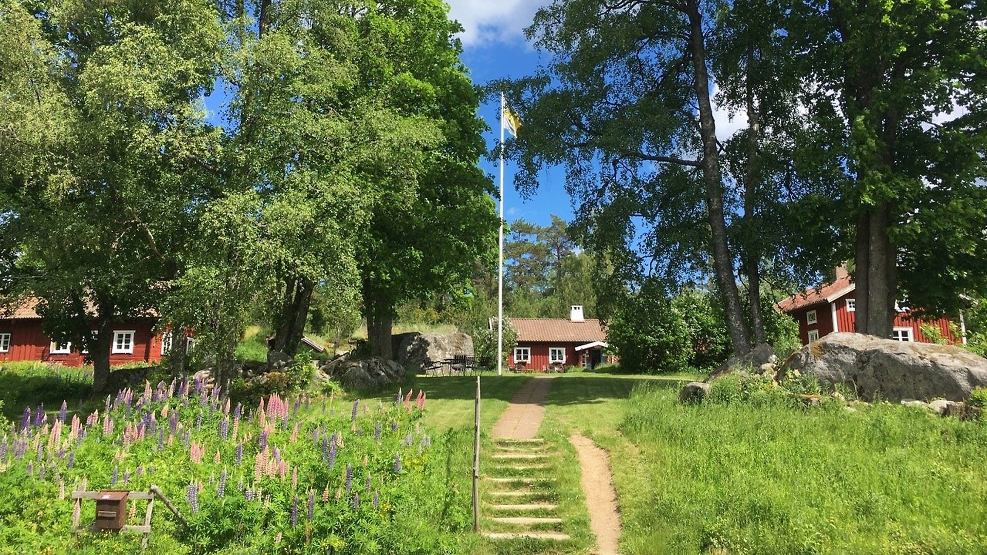 Vy av Tivedstorp. I förgrunden syns en trappa och stenplattor upp till tre hus. Till vänster om trappan blommar rosa och lila lupiner, till höger växer gräs. Ovanför trappan växer ett par träd. Bakomträden skymtar tre röda trähus runt en gräsplan. På gräsplanen finns bord och stolar som man kan sitta på samt en flaggstång med den svenska flaggan hissad. Rakt fram, bakom gräsplanen ligger Tivedstorps reception och café i en röd enplansstuga. Till vänster om gräsplanen syns en röd timmerstuga och till höger ett rött trähus. 