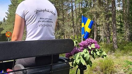 Ryggen på en ryttare som sitter på en vagn. På vagnen sitter lila blommor och en sverigeflagga. I bakgrunden ser man skog.