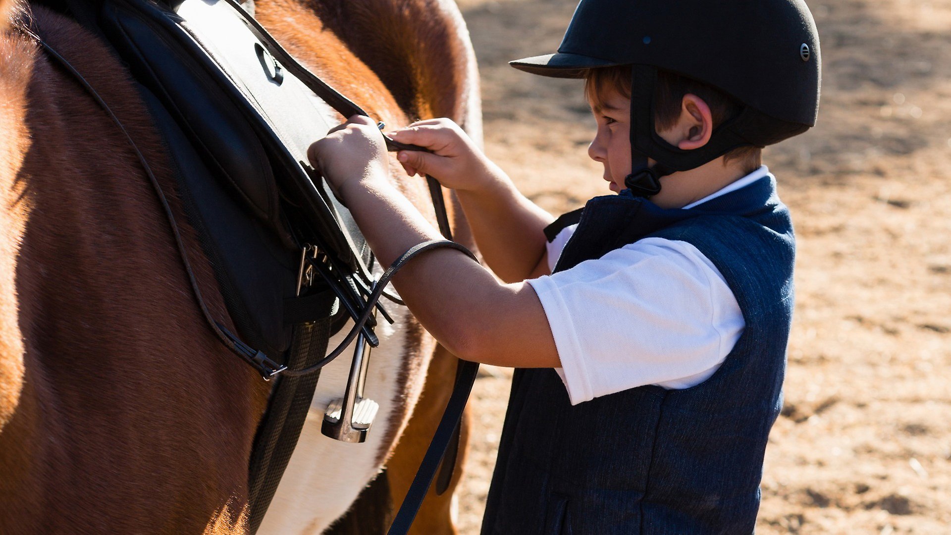 Pojke sätter på en sadel på en brun häst.