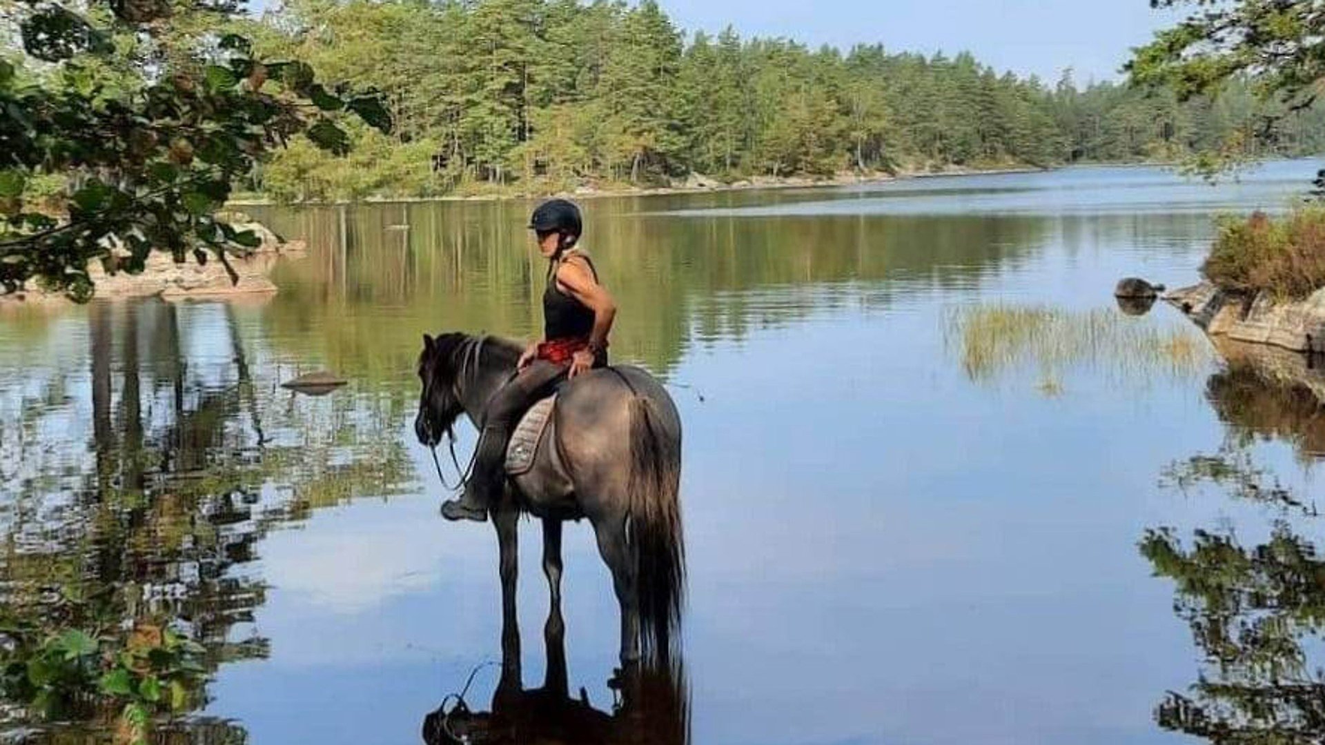 Häst som står i vattnet i en sjö med ryttare på sig. Öar med skog i bakgrunden.