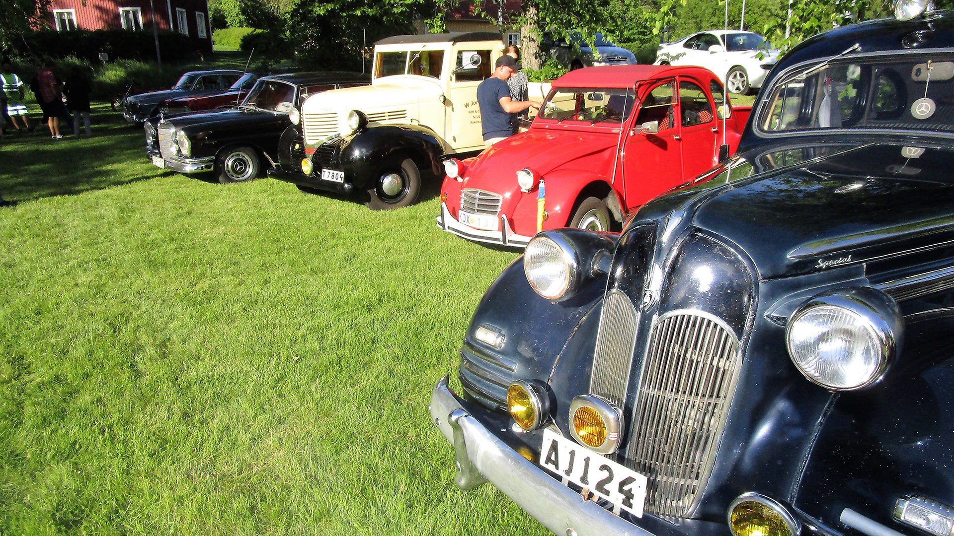 Flera veteranbilar i olika färger står på utställning på en gräsmatta.